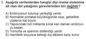 10. Sınıf Biyoloji Test 7 Soru-1
