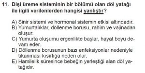 10. Sınıf Biyoloji Test 7 Soru-11