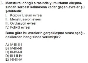 10. Sınıf Biyoloji Test 7 Soru-3