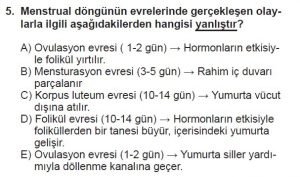 10. Sınıf Biyoloji Test 7 Soru-5