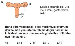 10. Sınıf Biyoloji Test 7 Soru-6