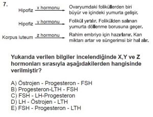 10. Sınıf Biyoloji Test 7 Soru-7