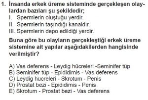 10. Sınıf Biyoloji Test 8 Soru-1