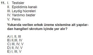 10. Sınıf Biyoloji Test 8 Soru-11