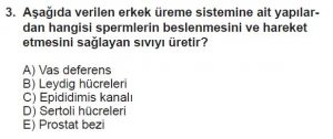 10. Sınıf Biyoloji Test 8 Soru-3