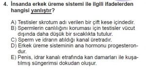 10. Sınıf Biyoloji Test 8 Soru-4