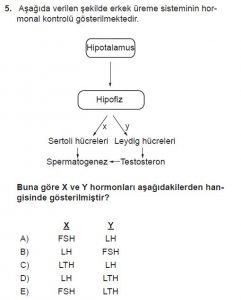 10. Sınıf Biyoloji Test 8 Soru-5