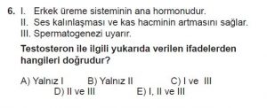 10. Sınıf Biyoloji Test 8 Soru-6