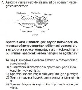10. Sınıf Biyoloji Test 8 Soru-7