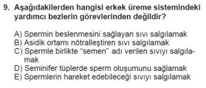 10. Sınıf Biyoloji Test 8 Soru-9