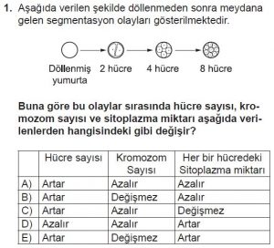 10. Sınıf Biyoloji Test 9 Soru-1