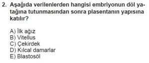 10. Sınıf Biyoloji Test 9 Soru-2