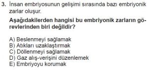 10. Sınıf Biyoloji Test 9 Soru-3