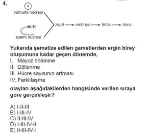 10. Sınıf Biyoloji Test 9 Soru-4