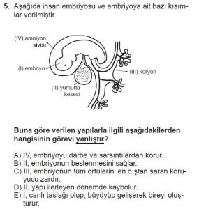 10. Sınıf Biyoloji Test 9 Soru-5