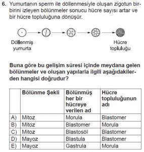 10. Sınıf Biyoloji Test 9 Soru-6