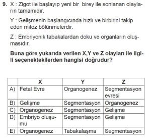 10. Sınıf Biyoloji Test 9 Soru-9
