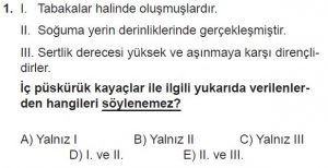 10. Sınıf Coğrafya Test 2 Soru-1