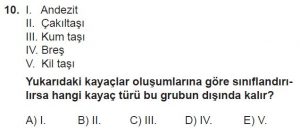 10. Sınıf Coğrafya Test 2 Soru-10
