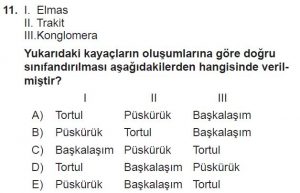 10. Sınıf Coğrafya Test 2 Soru-11