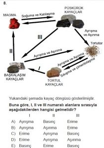 10. Sınıf Coğrafya Test 2 Soru-8