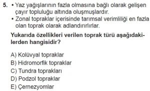 10. Sınıf Coğrafya Test 5 Soru-5