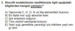 11. Sınıf Biyoloji Test 1 Soru-3