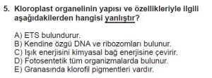 11. Sınıf Biyoloji Test 1 Soru-5