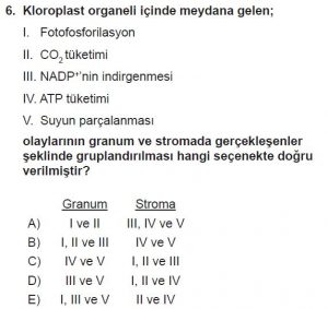 11. Sınıf Biyoloji Test 1 Soru-6