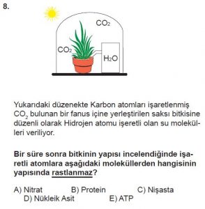 11. Sınıf Biyoloji Test 1 Soru-8