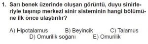 11. Sınıf Biyoloji Test 10 Soru-1