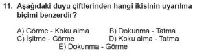 11. Sınıf Biyoloji Test 10 Soru-11