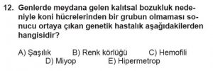11. Sınıf Biyoloji Test 10 Soru-12