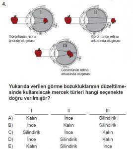 11. Sınıf Biyoloji Test 10 Soru-4