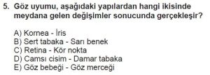 11. Sınıf Biyoloji Test 10 Soru-5