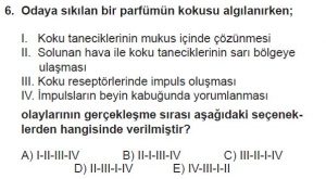 11. Sınıf Biyoloji Test 10 Soru-6