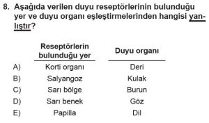 11. Sınıf Biyoloji Test 10 Soru-8
