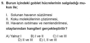 11. Sınıf Biyoloji Test 10 Soru-9