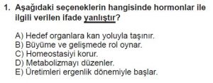 11. Sınıf Biyoloji Test 11 Soru-1