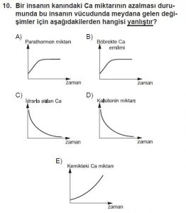 11. Sınıf Biyoloji Test 11 Soru-10