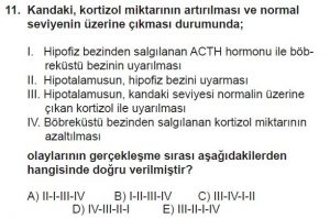 11. Sınıf Biyoloji Test 11 Soru-11