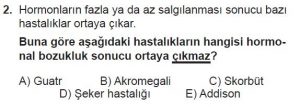 11. Sınıf Biyoloji Test 11 Soru-2