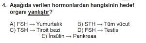 11. Sınıf Biyoloji Test 11 Soru-4