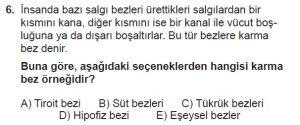 11. Sınıf Biyoloji Test 11 Soru-6
