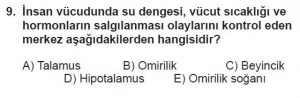11. Sınıf Biyoloji Test 11 Soru-9
