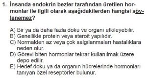 11. Sınıf Biyoloji Test 12 Soru-1