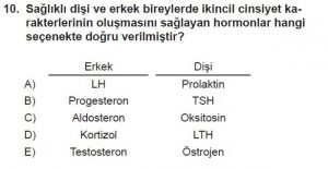 11. Sınıf Biyoloji Test 12 Soru-10