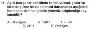 11. Sınıf Biyoloji Test 12 Soru-11