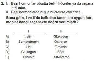 11. Sınıf Biyoloji Test 12 Soru-2