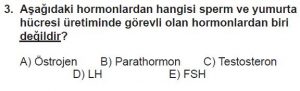 11. Sınıf Biyoloji Test 12 Soru-3